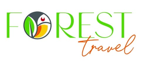 Forest Travel logo