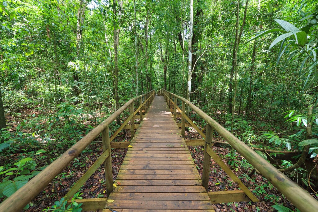 Forest Travel Highlights Costa Rica’s Manuel Antonio National Park 4