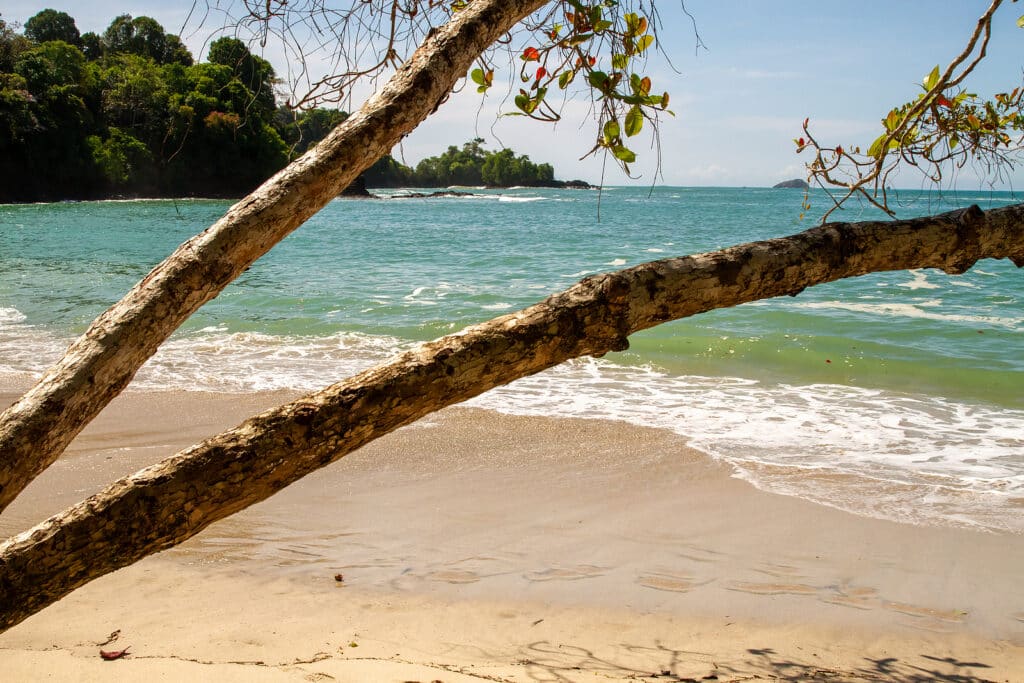 Forest Travel Highlights Costa Rica’s Manuel Antonio National Park 2