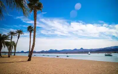 Forest Travel Reviews Chemehuevi Indian Reservation Lake Havasu