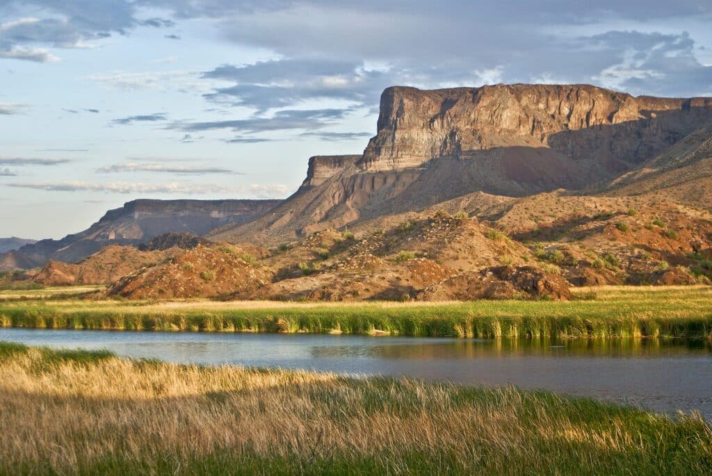 Forest Travel Reviews Chemehuevi Indian Reservation Lake Havasu (3)