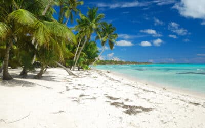 Forest Travel Reveals Affordable Caribbean Vacation Destinations